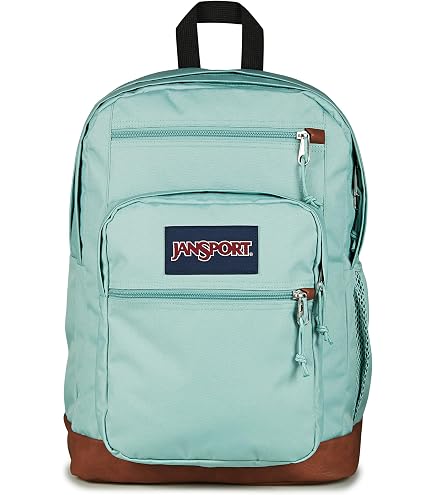 Amazon.com: JanSport Main Campus FX Backpack - Travel or Work Bag